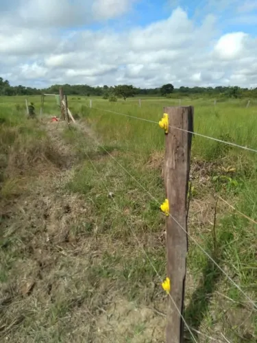 Fazenda em Tailândia, Pará 580 hec