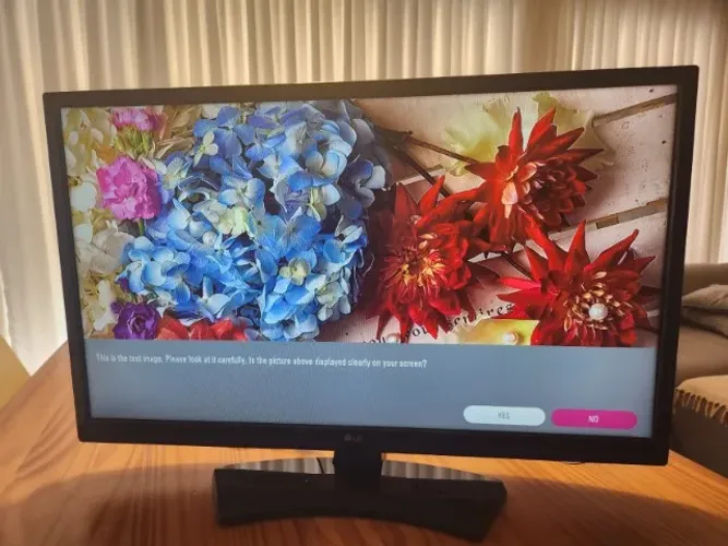 TV LG 29LH300B (sem controle remoto)