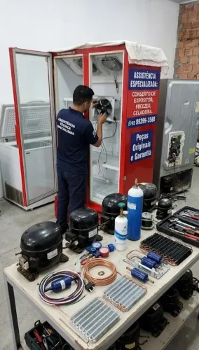 Técnico de expositor freezer