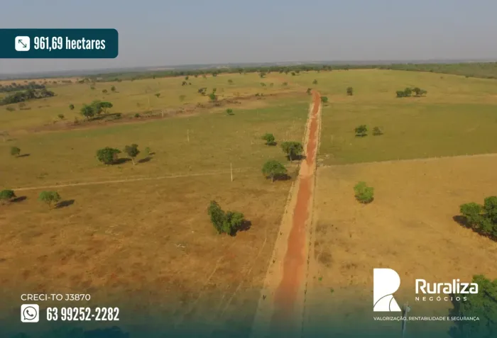 199 ALQUEIRES | 585 HA DE PASTAGENS | CAPACIDADE PARA 600 RESES