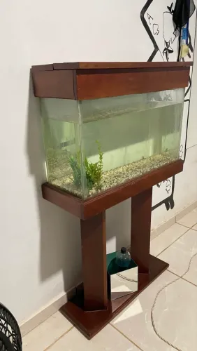 Vendo aquário de 100 litros 