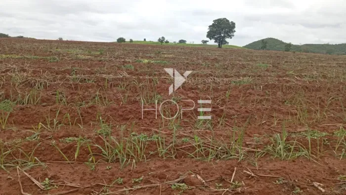 Fazenda à venda com 260 alqueires - 201 formados - confinamento - apta para pivô - Mozarlâ
