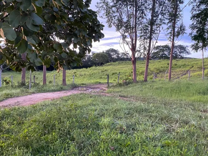 Imóvel rural no Zona Rural em Mara Rosa
