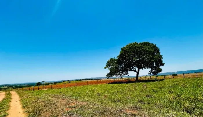 FAZENDA EM VARJÃO-GO | 12,72 Alq | Rica em Água | Produção Leiteira