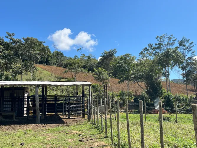VENDO SÍTIO EM SÃO MIGUEL