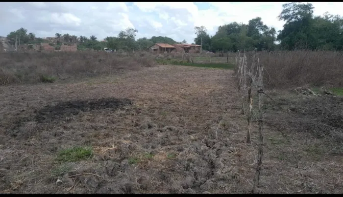 Vende-se terreno no monte das Oliveiras Vila Embratel