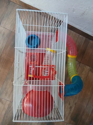 Gaiola hamster