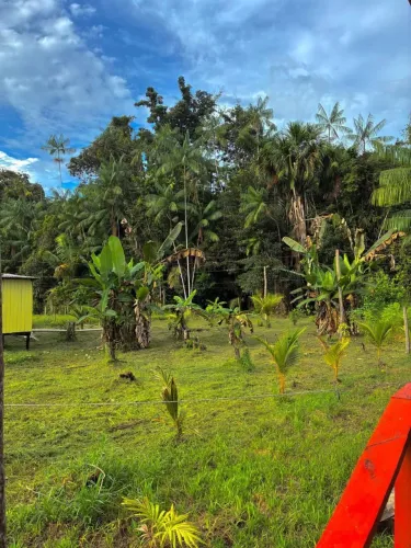 Vendo terreno no abacate da pedreira