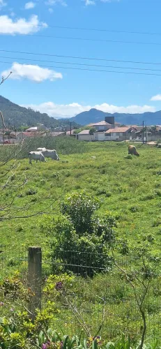 Terreno 360m2