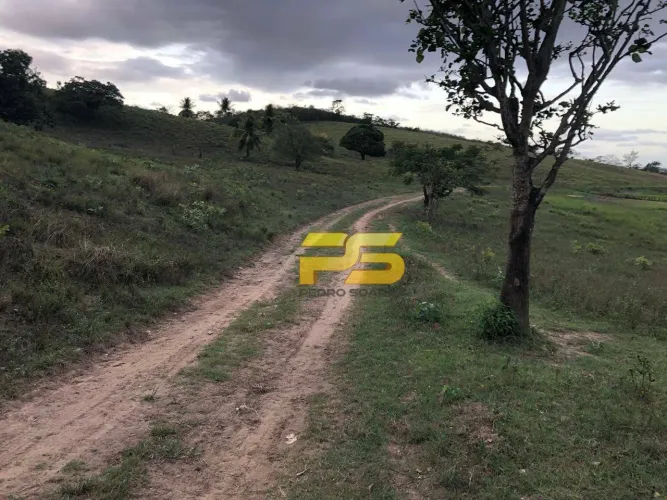 FAZENDA À VENDA GUARABIRA / CUITEGI PB