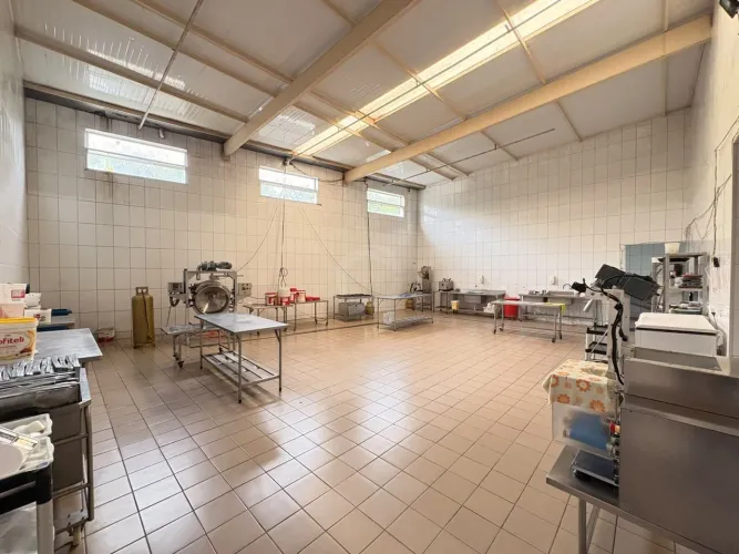 BARRACÃO COMERCIAL À VENDA E LOCAÇÃO | RAMO DE ALIMENTOS | STA TEREZINHA