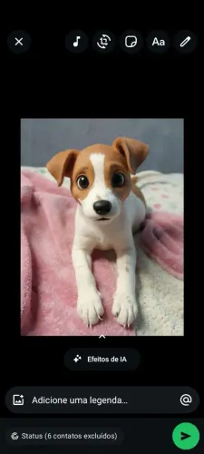 DOA SE CACHORRA