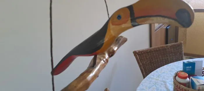 Lindo tucano em madeira. Peça única