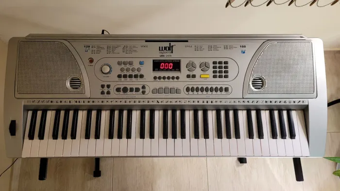 Teclado Musical Wolf WRK-2173