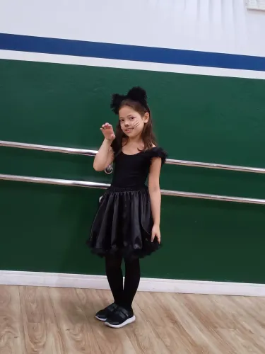 Fantasia Gatinha 7-8 anos