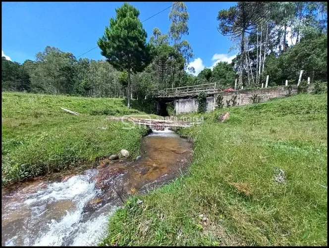 SÍTIO LAZER/GADO - ÓTIMA LOCALIZAÇÃOBARREIRA DELFIM MOREIRA