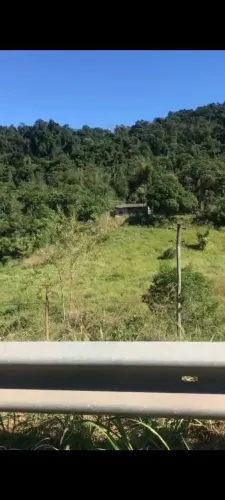 Vende-se Sítio Três Irmãos no estado de São Paulo, no município de Miracatu.