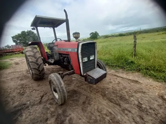 Massey Ferguson 290
