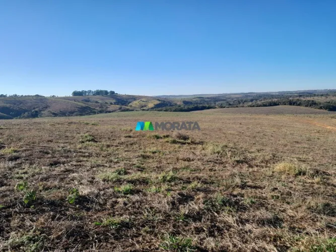 FAZENDA À VENDA - 127 HECTARES - DORES DO INDAÍA (MG)