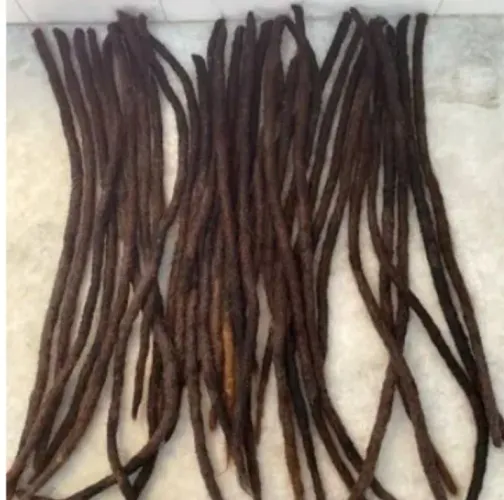 Cabelo dreadlocs rasta