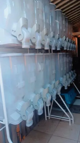 Dispenser de ração
