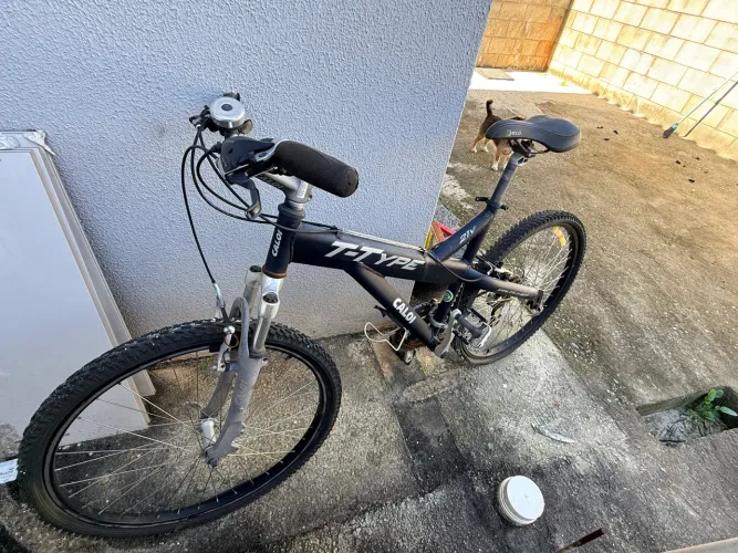 Bicicleta Caloi