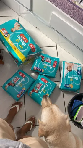 Fralda Pampers M