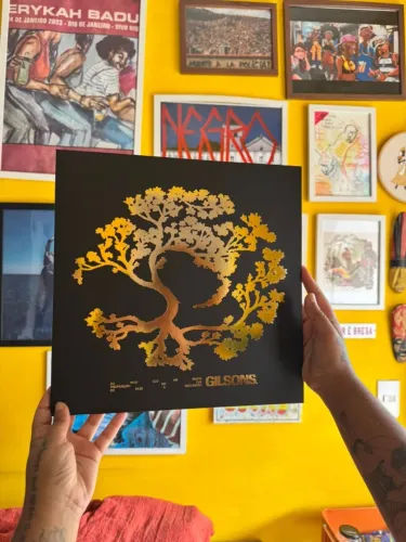 Disco de Vinil Gilsons - Eu Vejo Luz Em Maior Proporção Do Que Eu Vejo A Escuridão
