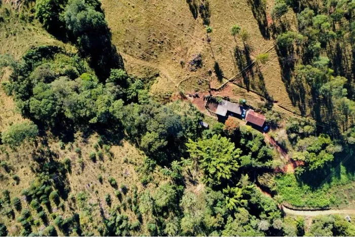 Sítio produtivo de 20 hectares em Socorro 35.000 pés de eucalipto gerando R$168 mil + áre