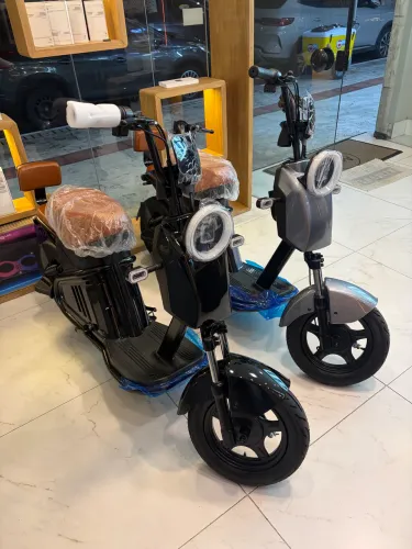 Moto Scooter Elétrica Panda Wd2 