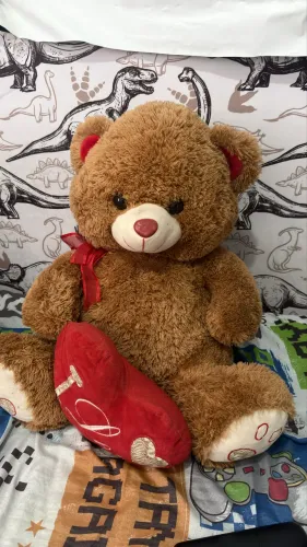 Urso médio