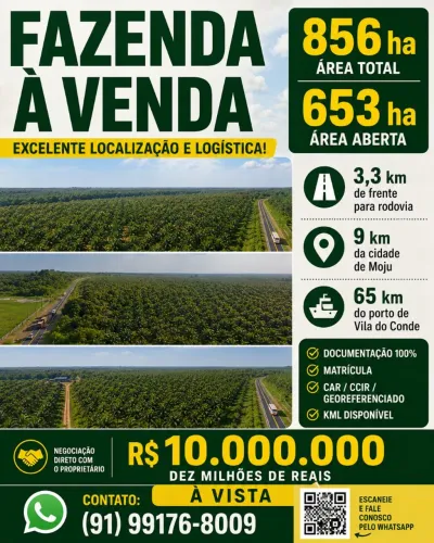FAZENDA À VENDA - PARÁ
