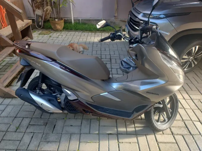 Honda PCX  todas revisões em concessionária única dona