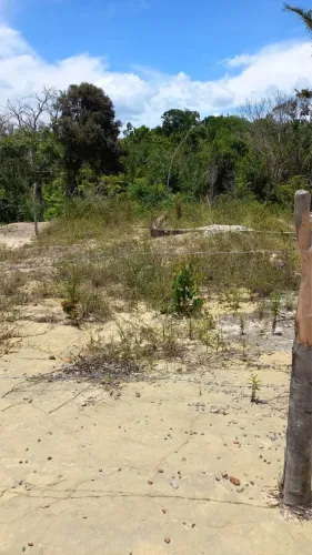 Terreno em Tairu - Vera Cruz
