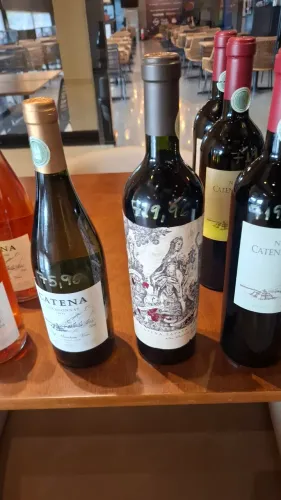 Lote de Vinhos