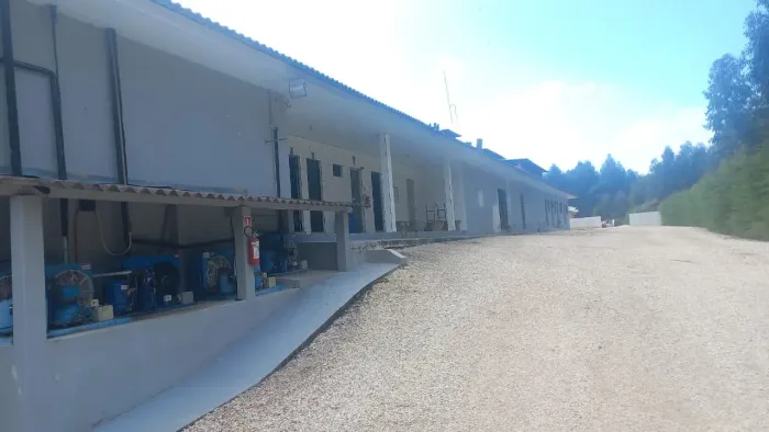 Estrutura do Frigorífico ? Sala Dessossa Mesas grandes 1 Descouradeira Ibrasmak 1 Serra Fi