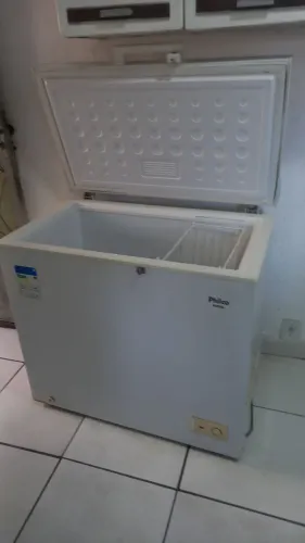 Vende-se uma geladeira e um frise 