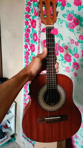 Cavaquinho Giannini Novo completo 