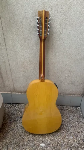 Viola Del Vecchio