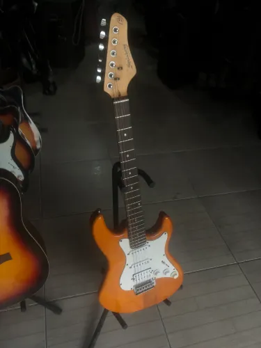 Guitarra strinberg modelo STS-100
