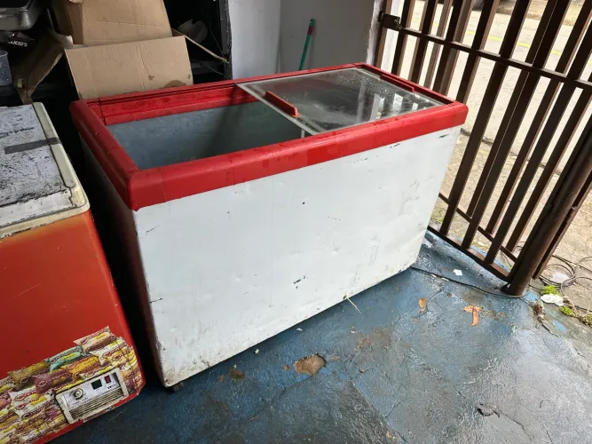Freezer horizontal