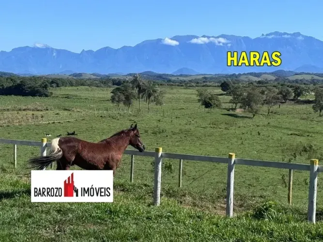 Barrozo Imóveis - Haras a venda com 11.7 ha com vista deslumbrante.