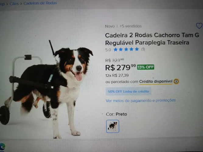 Cadeira de rodas para cachorro