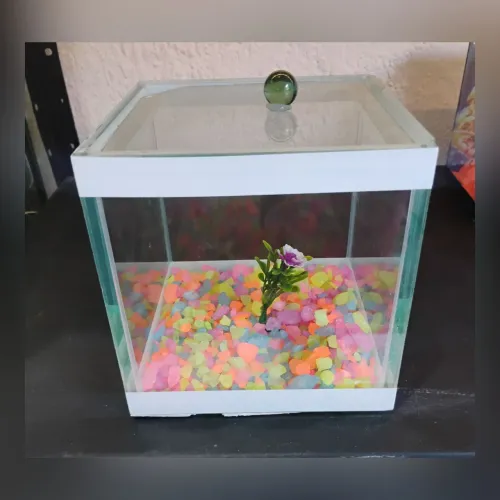 Aquário de Vidro 15x15x15 cm com Tampa - Ideal para Betta e Decoração
