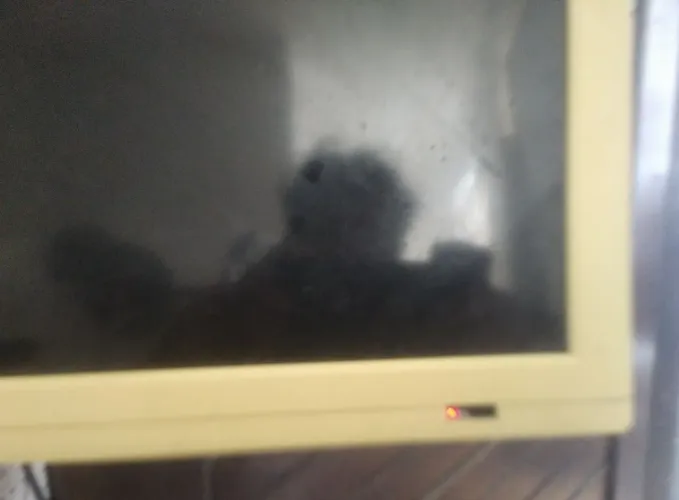 Tv Philco 32