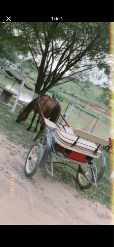 Charrete