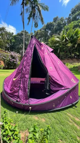Barraca Tomorrowland Easy Tent Roxa
