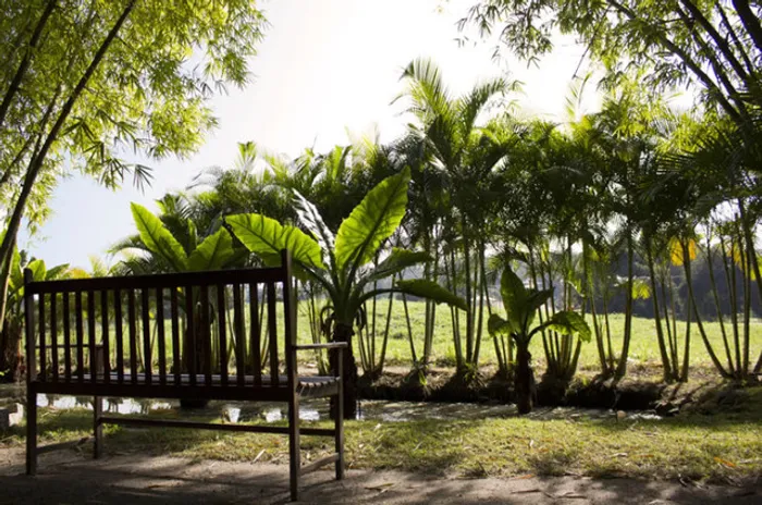 Condomínio Pedra Verde Maricá - Lotes a partir de 965m² cercado de verde !