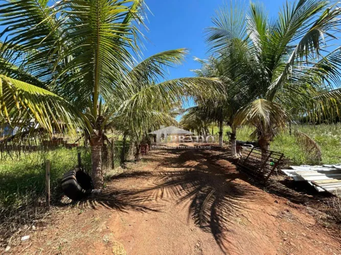 Sítio com 1 dormitório à venda, 24200 m² por R$ 1.000.000,00 - Engenho do Ferro - Ibiporã/