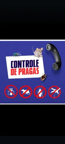Serviço profissional de dedetização controle de pragas